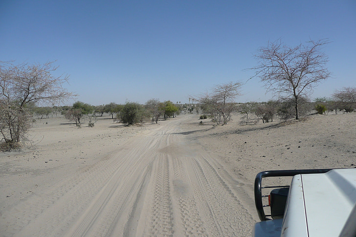 sledování, Afrika, písek, poušť, Sahel, 4 x 4, Bush