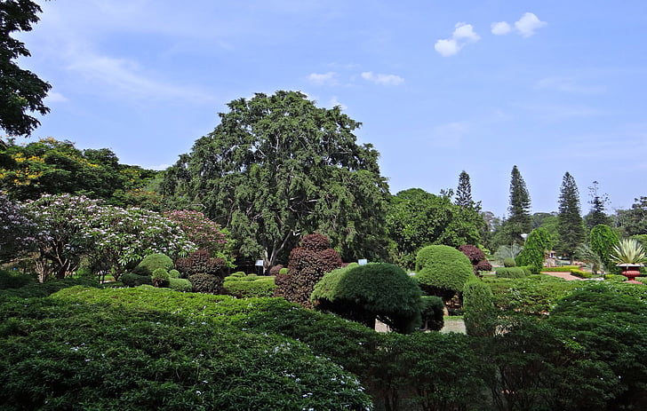 Botaniska trädgården, LAL bagh, Park, trädgård, grönska, Bangalore, Indien