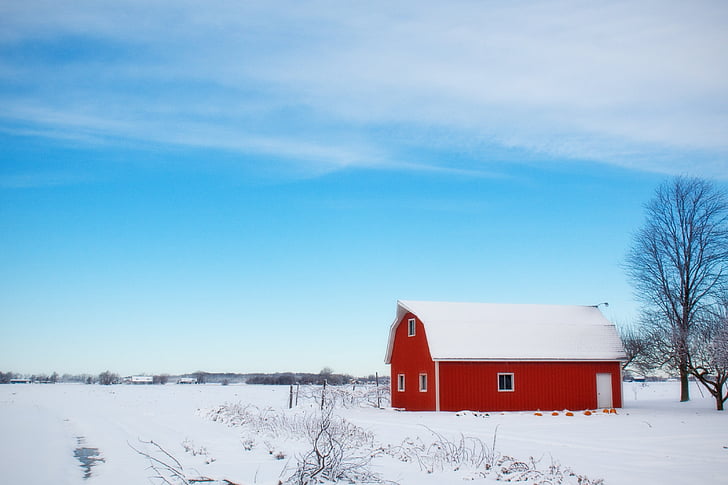 white, red, wooden, shed, Winter, Barn, Snow