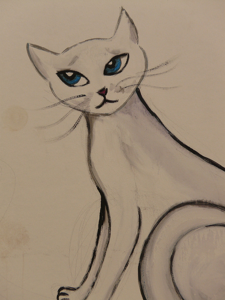 кішка, малювання, зображення, Живопис, тварини, графіті, фарба