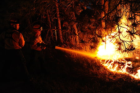 tűzoltók, erdőtűz, lángok, forró, hő, veszélyes, berendezések