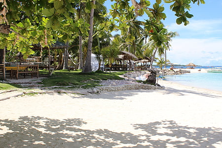beach, sand, white sand, tropical, paradise, island, sunny