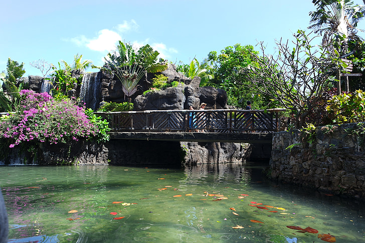 hawaii, tropical, lake, park, garden, bridge, waterfall
