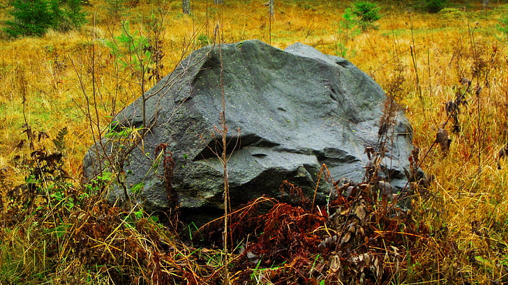 kamena, boje, jesen