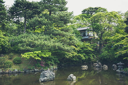 japanese, garden, house, lake, pond, green, trees