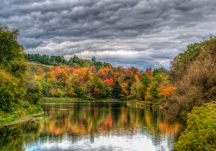 Vermont, stagno, riflessione, nuvoloso, cielo, fogliame, autunno
