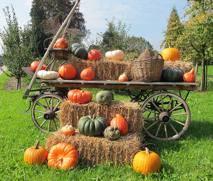 pumpkins, decoration, wooden wagon, hay, squares, autumn, fall