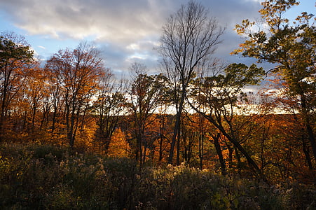 sunset, deer crossing, maple grove, mn fall