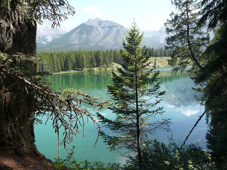 Mountain, jazero, Alberta, Príroda, horské jazero, Kanada, Rocky