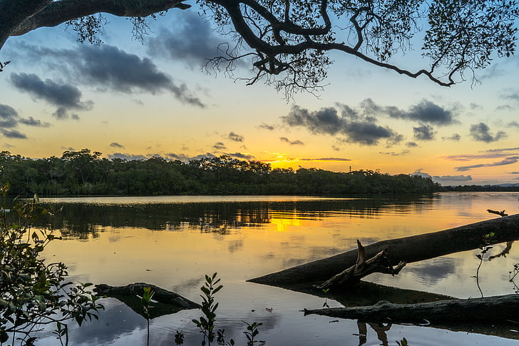 landscape, river, sunset, trees, reflection, nature, scene