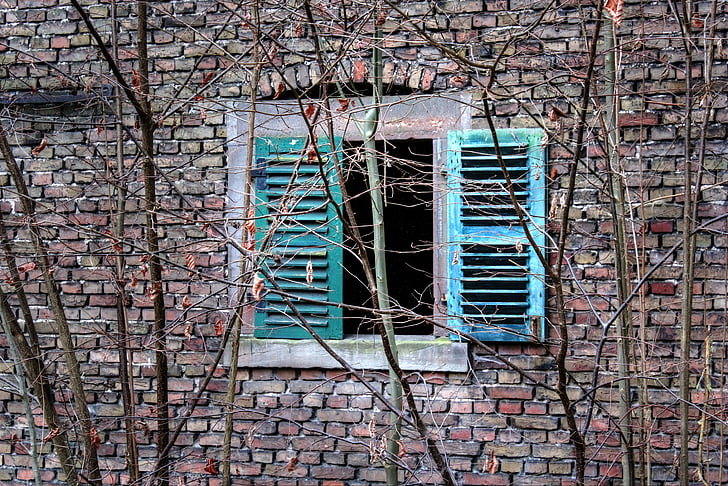 finestra, parete, dell'otturatore, mattoni, vecchio