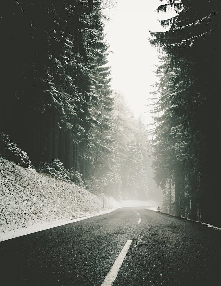 χιονισμένο, οδοστρωμάτων, δρόμος, Χειμώνας, μονάδα δίσκου, ομίχλη, το πρωί