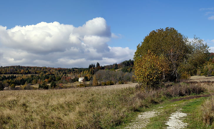 Slovačka, luka, příroda, javorie, jesen, šuma