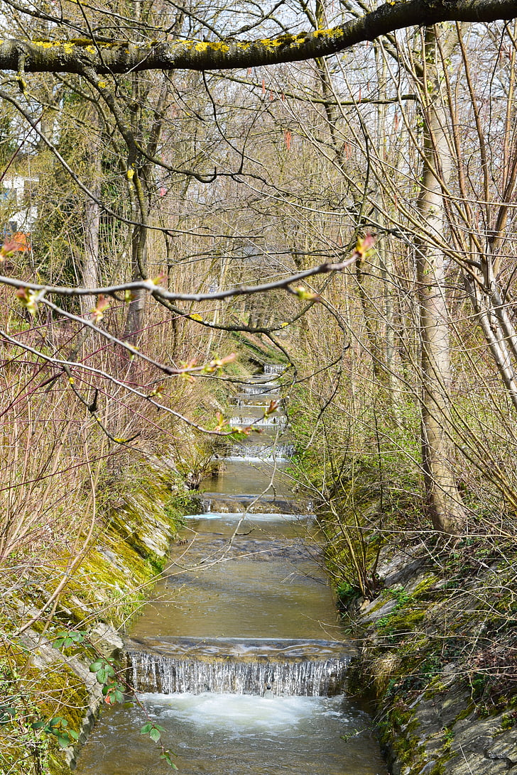 bach, creek, gradually, spring, nature, water