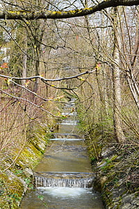 Bach, upelis, palaipsniui, pavasarį, Gamta, vandens