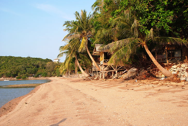 beach, palm trees, beach house, sand, sea, tropics, thailand