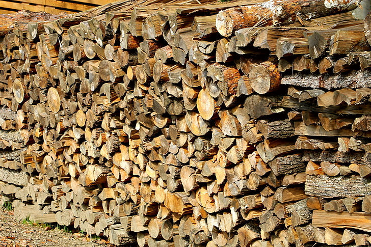 woodpile, logging, wood-cutting, forest, wood, mountain, moss
