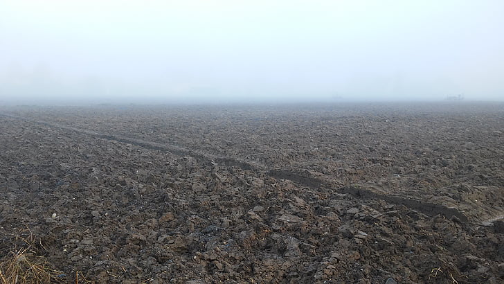 arable, autumn, fog, background, field, agriculture