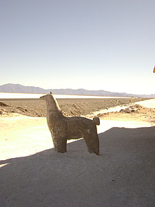 Salinas, escultura, Norte, Argentina, viagens, destino