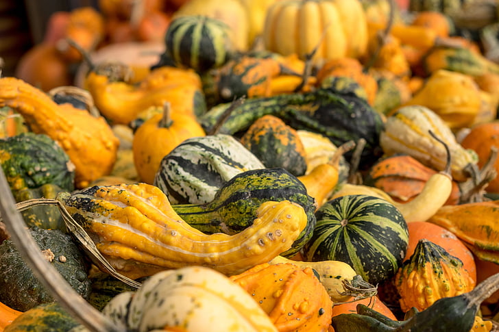 pumpor, hösten, Orange, gul, kalebass, dekoration, grönsaker