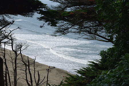 Ocean beach, California, ūdens, san francisco, pludmale, krasts, okeāns