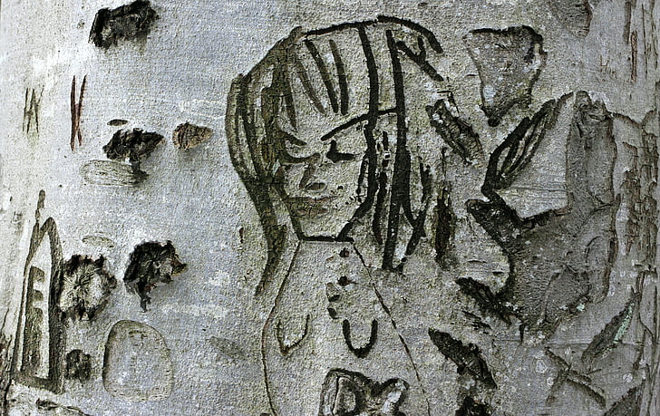 tree, carved, face, person, symbol, engraved, eingeritzter tree