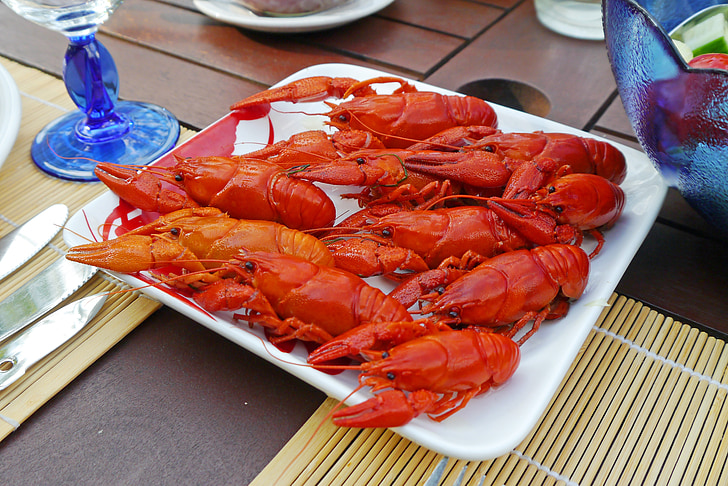 nourriture du cancer, crabes, manger, rouge, manger le crabe, Cour d’été, démarreur