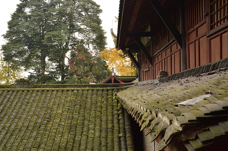 qingcheng mountain, moss, tile-roofed house, the scenery, roof, architecture, cultures