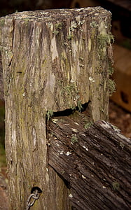 fence, old, historic, wooden, joint, detail, wood