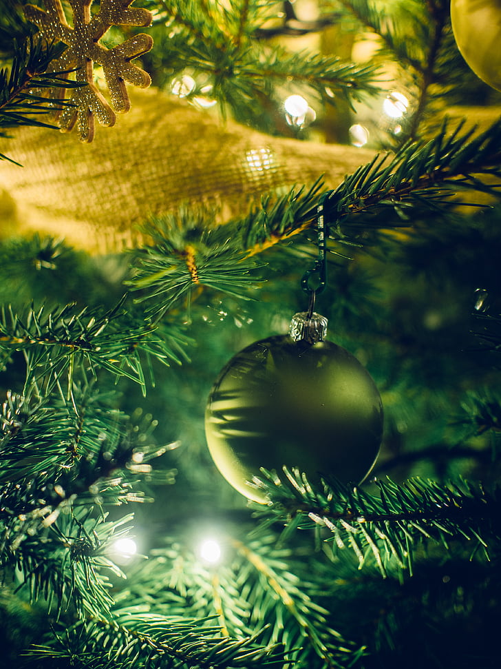 Weihnachtsbeleuchtung, schließen, Dekorationen, Weihnachten, Dekoration, Baum, Feier