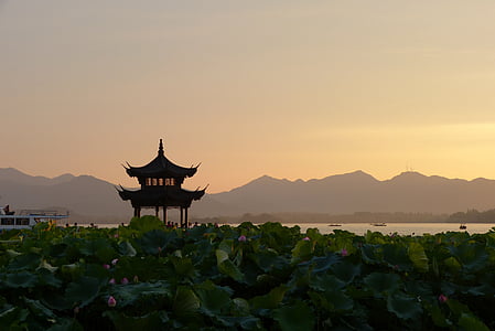 coucher de soleil, Chine, pagode, fleurs de Lotus, l’Asie, Temple - bâtiment, bouddhisme