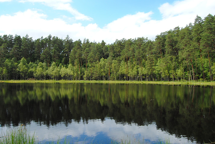 lake, forest, landscape, nature, poland, water, reflection