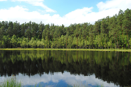 jezero, Les, krajina, Příroda, Polsko, voda, reflexe