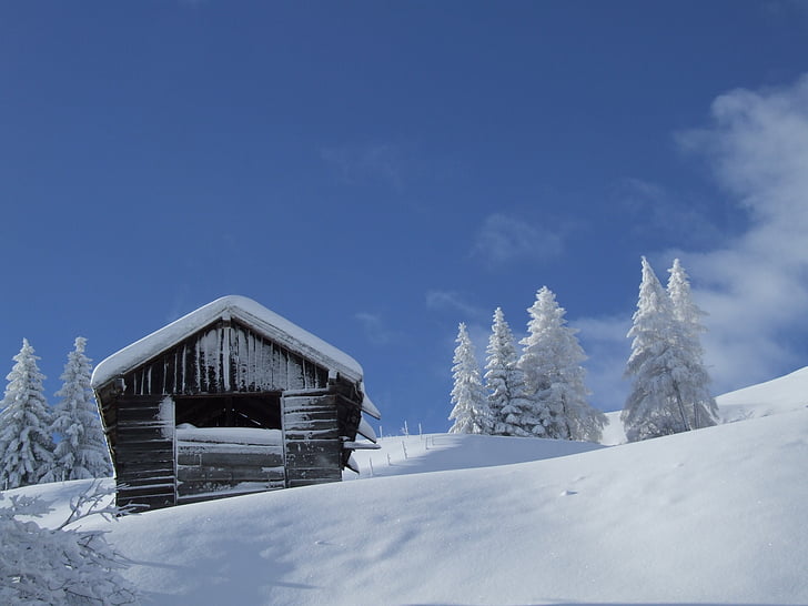 colibă, zăpadă, iarna, Tirol, Serfaus-fiss-ladis