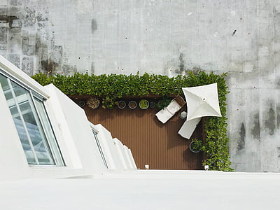 balkon, budova, rostliny, terasa