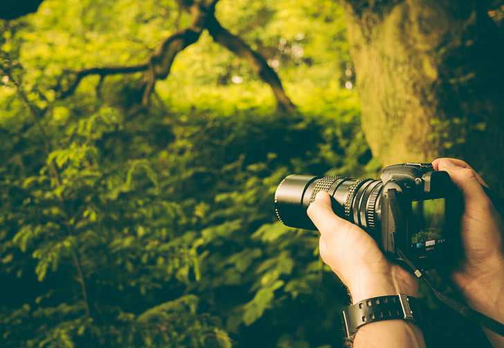 camera, hands, holding, lens, man, nature, outdoors