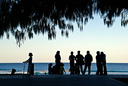 people, silhouettes, coast, sea, ocean, tree, group