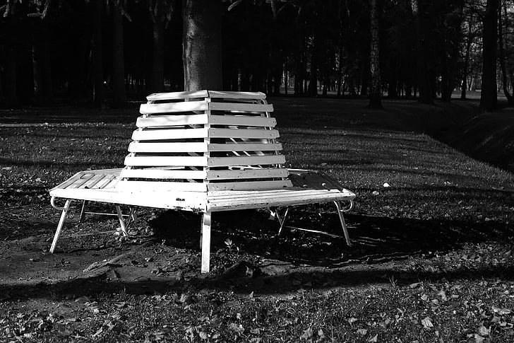 bench, nature, shadow, trees, grass, black and white, contrast