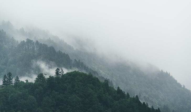 Thiên nhiên, cảnh quan, sương mù, núi, cây, cây thông, đám mây