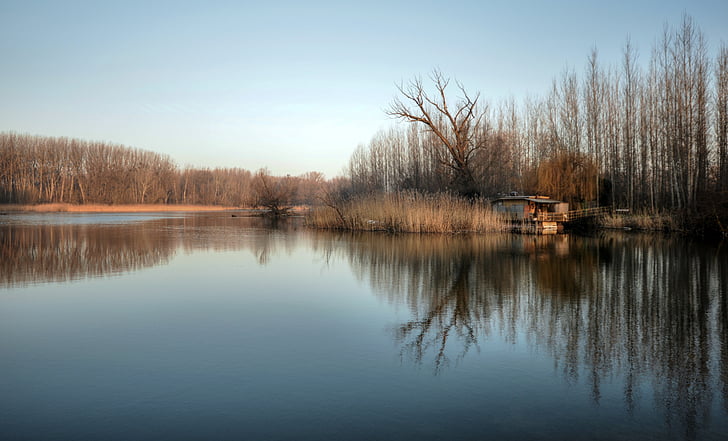 Husbåt, floden, lužný les, luhy, Donau, Slovakien, reflektion