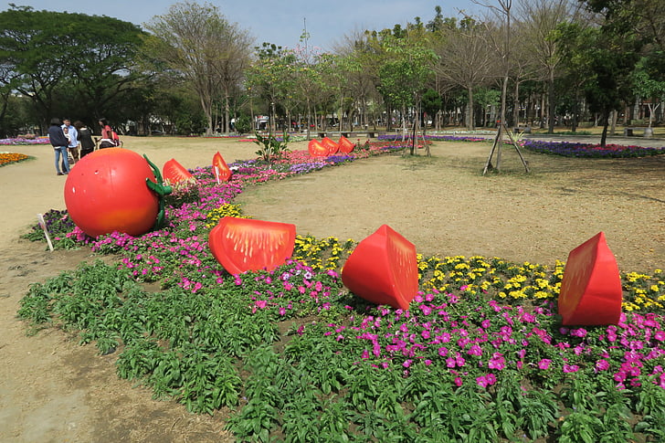 osebe Tainan cvetje, ponujajo, paradižnika, vodni leči kmetije park