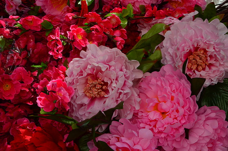 flores de papel, mercado, vermelho, exóticas, flores, China, mercado chinês