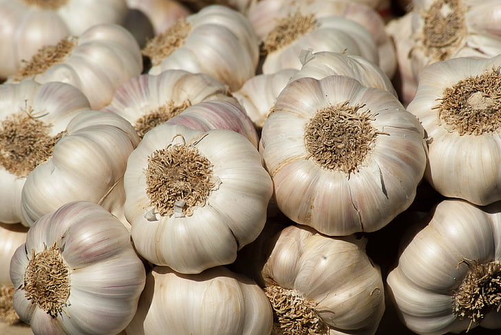 garlic, vegetable garden, garden, harvest, market, food and drink, garlic bulb