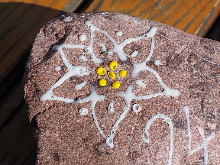 Edelweiss, pedra, blanc, groc, pintat, logotip, DAV