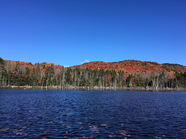 otoño, Lago, montañas, tracto de estanque de Boreas, árboles de madera dura, características de la caída, cielo azul