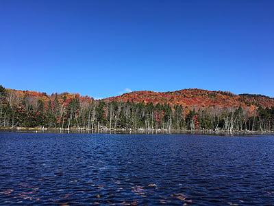 otoño, Lago, montañas, tracto de estanque de Boreas, árboles de madera dura, características de la caída, cielo azul
