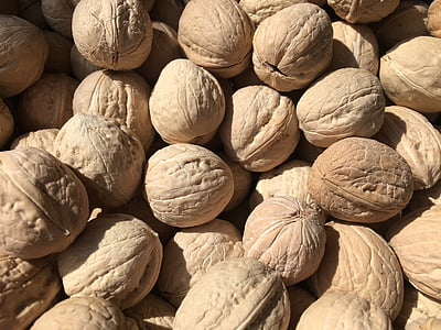 noten, walnoten, notendop, natuurlijke, dieet