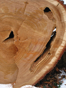 Baum-Roste, Holz, perforiert, gesägt