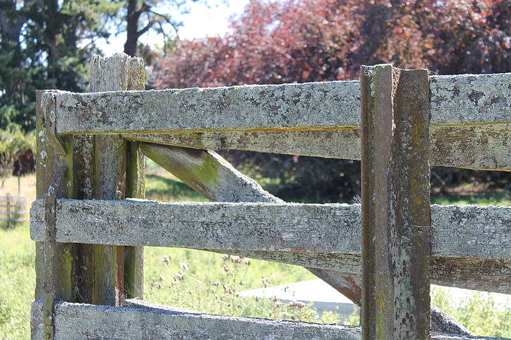 fechar, portão, de madeira, velho, zona rural