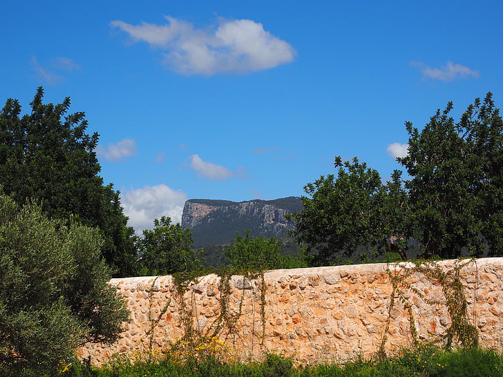 bergen, Estate raixa, Mallorca